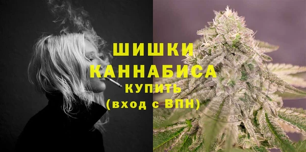 spice Медногорск