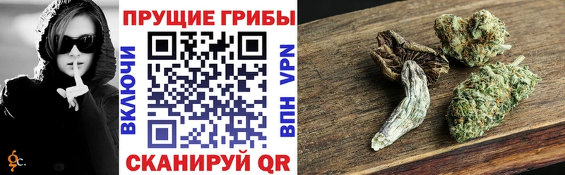 Псилоцибиновые грибы MAGIC MUSHROOMS  Купить где  Невинномысск 